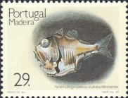 Argyropelecus aculeatus