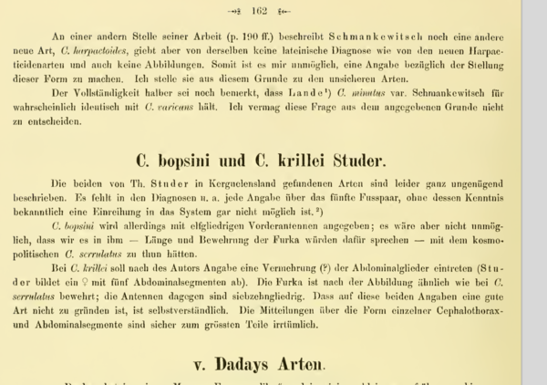Cyclops krillei Studer 1878 Cyclops krillei Studer 1878