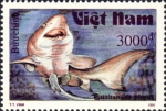 Elasmobranchii