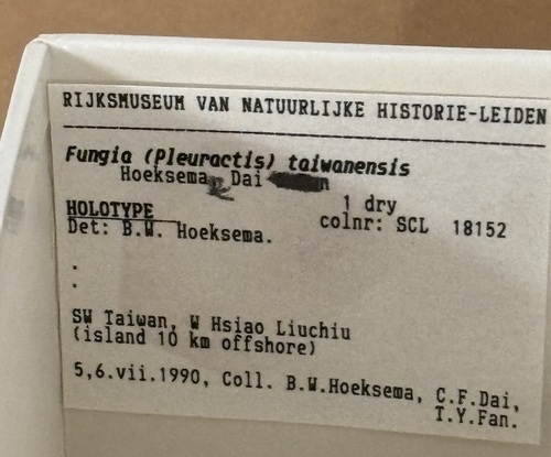 Holotype (3) Holotype (3)