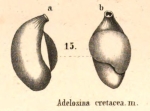 Adelosina cretacea Reuss, 1851