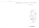 Acanthodesmus dorsalis
