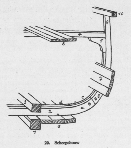 Derolez (1950, fig. 20)