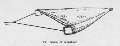 Derolez (1950, fig. 23)