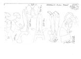 Archichoneiulus drahoni maareb, author: Henry W. Bremann, Henri Ribaut, Maria Prin, Jean-Paul Mauri et al. (1890-1999): Bremann iconographic file & successors