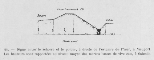 Massart (1913, fig. 44)