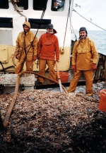 Boomkorvisserij - bokken