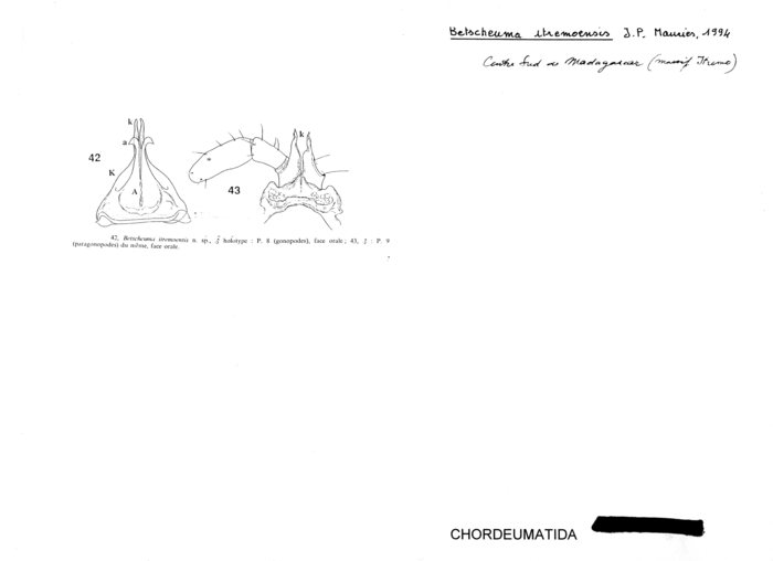 Betscheuma itremoensis