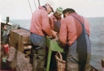 Garnaalvisserij