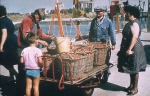 Fishing types