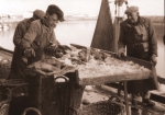 Vismijn Nieuwpoort