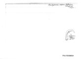 Brachydesmus superus bulgaricus, author: Henry W. Bremann, Henri Ribaut, Maria Prin, Jean-Paul Mauri et al. (1890-1999): Bremann iconographic file & successors