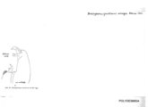 Brachydesmus zawalanus unciger, author: Henry W. Bremann, Henri Ribaut, Maria Prin, Jean-Paul Mauri et al. (1890-1999): Bremann iconographic file & successors