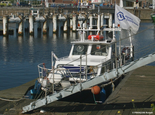 Broedende zilvermeeuw (onder de gangway)