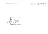 Chicobolus pilsbryi, author: Henry W. Bremann, Henri Ribaut, Maria Prin, Jean-Paul Mauri et al. (1890-1999): Bremann iconographic file & successors
