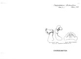 Craspedosoma fontanellum, author: Henry W. Bremann, Henri Ribaut, Maria Prin, Jean-Paul Mauri et al. (1890-1999): Bremann iconographic file & successors