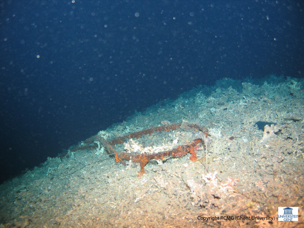 Steel cable, maybe towed fishing gear