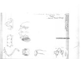 Craspedosoma tridentinum, author: Henry W. Bremann, Henri Ribaut, Maria Prin, Jean-Paul Mauri et al. (1890-1999): Bremann iconographic file & successors