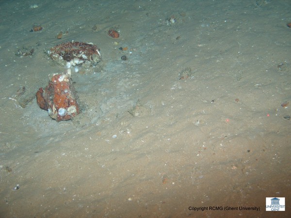 Sediment waves with moats around scattered blocks