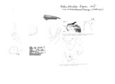 Cylindroiulus placidus, author: Henry W. Bremann, Henri Ribaut, Maria Prin, Jean-Paul Mauri et al. (1890-1999): Bremann iconographic file & successors