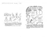 Dasynemasoma ichihashii, author: Henry W. Bremann, Henri Ribaut, Maria Prin, Jean-Paul Mauri et al. (1890-1999): Bremann iconographic file & successors