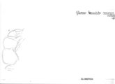 Glomeris hexasticha ruscorum, author: Henry W. Bremann, Henri Ribaut, Maria Prin, Jean-Paul Mauri et al. (1890-1999): Bremann iconographic file & successors