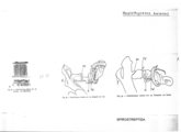 Haplothysanus ealanus, author: Henry W. Bremann, Henri Ribaut, Maria Prin, Jean-Paul Mauri et al. (1890-1999): Bremann iconographic file & successors