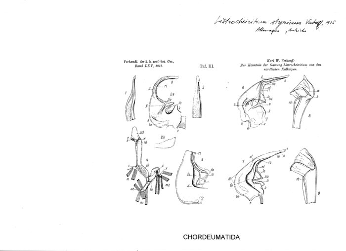 Listrocheiritium styricum