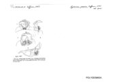 Lyrranea persica, author: Henry W. Bremann, Henri Ribaut, Maria Prin, Jean-Paul Mauri et al. (1890-1999): Bremann iconographic file & successors