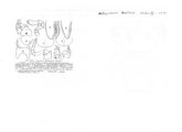 Malayomeris martensi, author: Henry W. Bremann, Henri Ribaut, Maria Prin, Jean-Paul Mauri et al. (1890-1999): Bremann iconographic file & successors