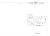 Nesobolus toroanus, author: Henry W. Bremann, Henri Ribaut, Maria Prin, Jean-Paul Mauri et al. (1890-1999): Bremann iconographic file & successors