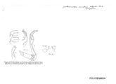 Orthomorpha murphyi, author: Henry W. Bremann, Henri Ribaut, Maria Prin, Jean-Paul Mauri et al. (1890-1999): Bremann iconographic file & successors
