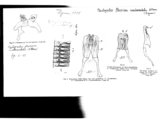 Pachyiulus flavipes continentalis, author: Henry W. Bremann, Henri Ribaut, Maria Prin, Jean-Paul Mauri et al. (1890-1999): Bremann iconographic file & successors