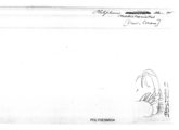 Platyrhacus mediotaeniatus, author: Henry W. Bremann, Henri Ribaut, Maria Prin, Jean-Paul Mauri et al. (1890-1999): Bremann iconographic file & successors
