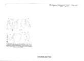 Plectogona morisii, author: Henry W. Bremann, Henri Ribaut, Maria Prin, Jean-Paul Mauri et al. (1890-1999): Bremann iconographic file & successors