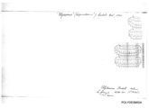 Polydesmus bedeli, author: Henry W. Bremann, Henri Ribaut, Maria Prin, Jean-Paul Mauri et al. (1890-1999): Bremann iconographic file & successors