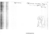 Polymicrodon narentanum, author: Henry W. Bremann, Henri Ribaut, Maria Prin, Jean-Paul Mauri et al. (1890-1999): Bremann iconographic file & successors