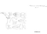 Prostemmiulus relictus, author: Henry W. Bremann, Henri Ribaut, Maria Prin, Jean-Paul Mauri et al. (1890-1999): Bremann iconographic file & successors