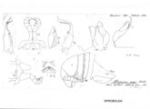 Rhinocricus asper, author: Henry W. Bremann, Henri Ribaut, Maria Prin, Jean-Paul Mauri et al. (1890-1999): Bremann iconographic file & successors