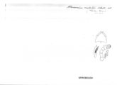 Rhinocricus modestior, author: Henry W. Bremann, Henri Ribaut, Maria Prin, Jean-Paul Mauri et al. (1890-1999): Bremann iconographic file & successors