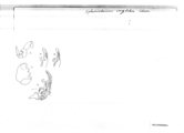 Sphaeriodesmus cruzbelem, author: Henry W. Bremann, Henri Ribaut, Maria Prin, Jean-Paul Mauri et al. (1890-1999): Bremann iconographic file & successors