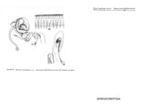 Spinotarsus mazongwanus, author: Henry W. Bremann, Henri Ribaut, Maria Prin, Jean-Paul Mauri et al. (1890-1999): Bremann iconographic file & successors
