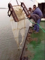 Infrastructuur