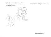 Storthophorus levifrons, author: Henry W. Bremann, Henri Ribaut, Maria Prin, Jean-Paul Mauri et al. (1890-1999): Bremann iconographic file & successors