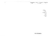 Strongylosoma samium cisaegaeum, author: Henry W. Bremann, Henri Ribaut, Maria Prin, Jean-Paul Mauri et al. (1890-1999): Bremann iconographic file & successors