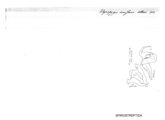 Thyropygus coniferus, author: Henry W. Bremann, Henri Ribaut, Maria Prin, Jean-Paul Mauri et al. (1890-1999): Bremann iconographic file & successors