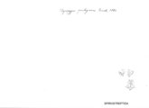 Thyropygus pachyurus, author: Henry W. Bremann, Henri Ribaut, Maria Prin, Jean-Paul Mauri et al. (1890-1999): Bremann iconographic file & successors