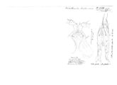 Trichoblaniulus hirsutus, author: Henry W. Bremann, Henri Ribaut, Maria Prin, Jean-Paul Mauri et al. (1890-1999): Bremann iconographic file & successors