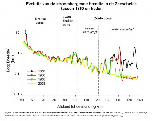 Evolutie van de stroombergende breedte in de Zeeschelde tussen 1850 en heden