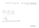 Vietnamorpha spiralis, author: Henry W. Bremann, Henri Ribaut, Maria Prin, Jean-Paul Mauri et al. (1890-1999): Bremann iconographic file & successors